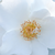 White - Bed and borders rose - polyantha - Milly™